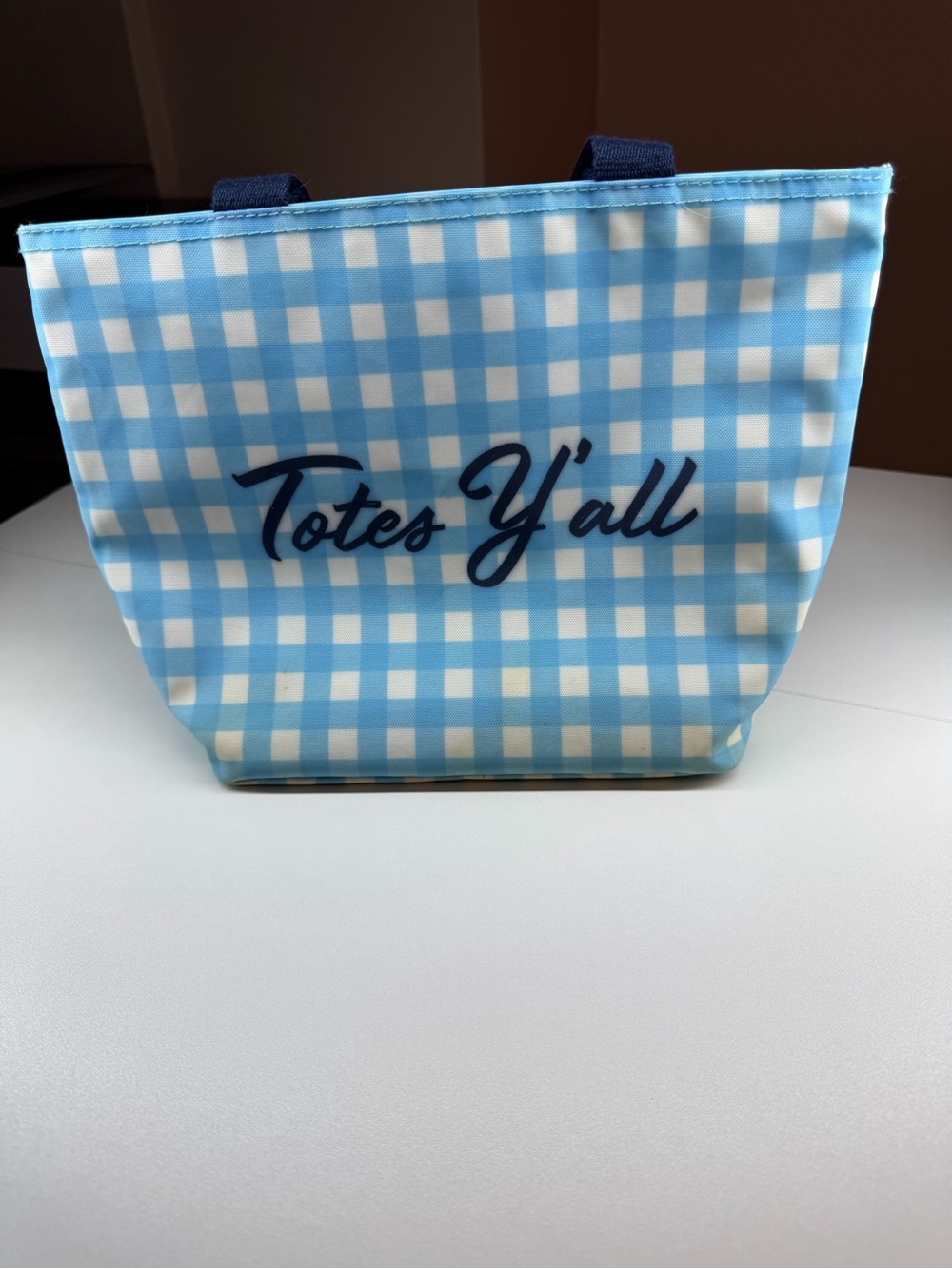 Draper James Light Blue Gingham 'Totes Y'all' Tote